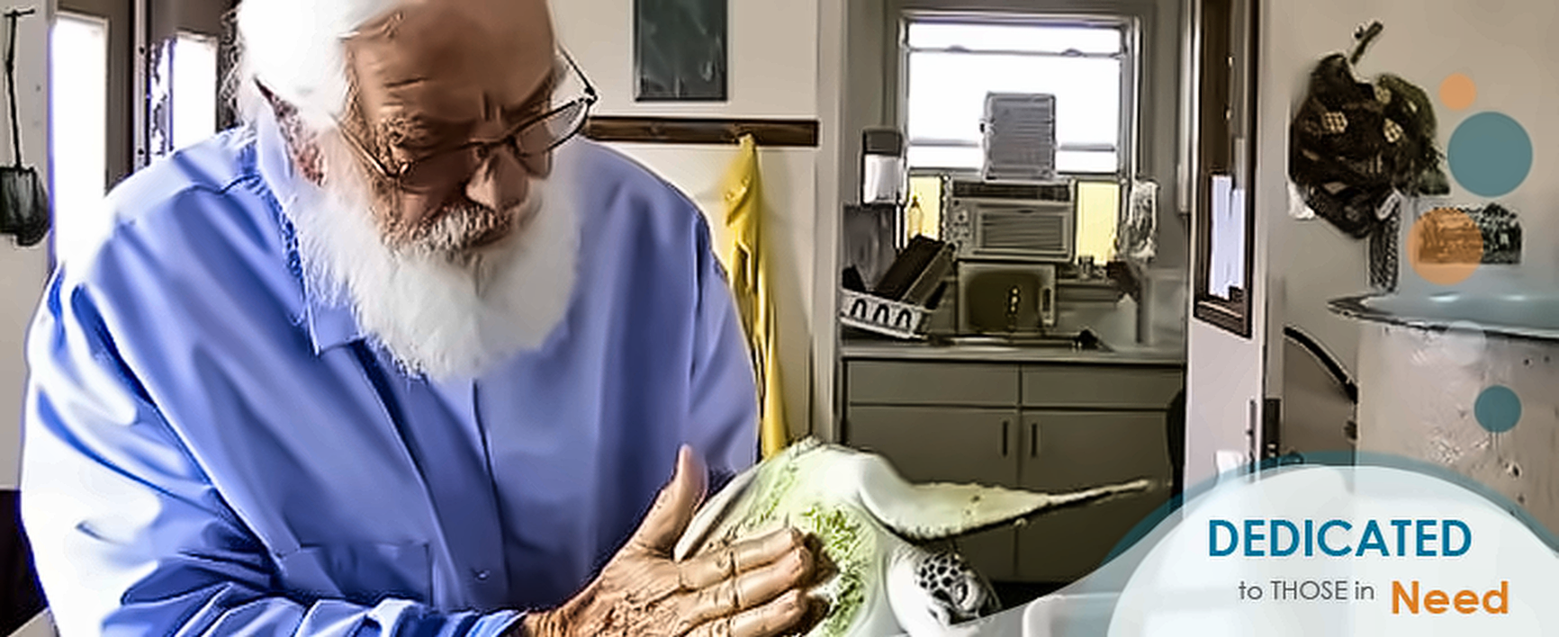 A researcher in a laboratory examining a bird